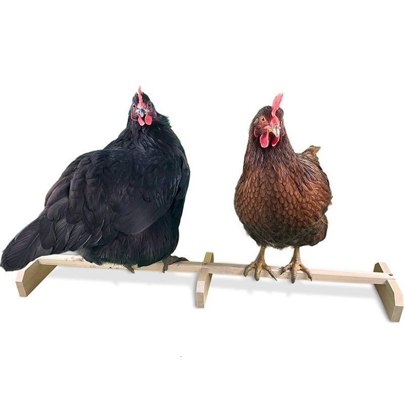 Other Pet Supplies Parrot Shelf Lightweight Balancing Standing Frame Nonslip Chicken Frame Wood for catching chewing playing 221122