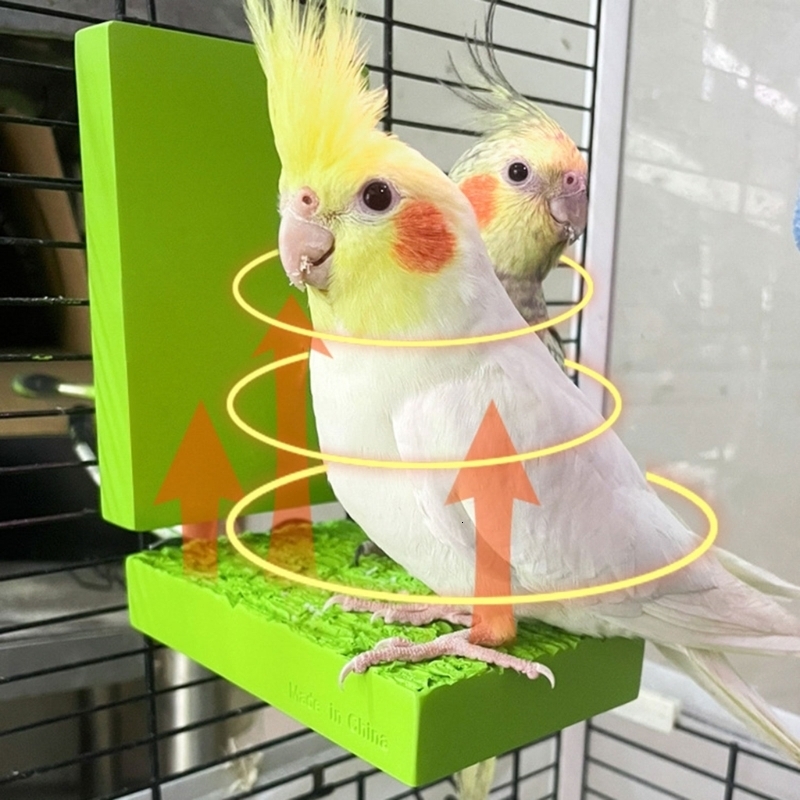 Other Pet Supplies Bird Heated Perches Safe Thermo Stand Platform 12V 5W Comfortable Temperature for Parakeets Conures Budgies Lovebirds Y5GB 221122q