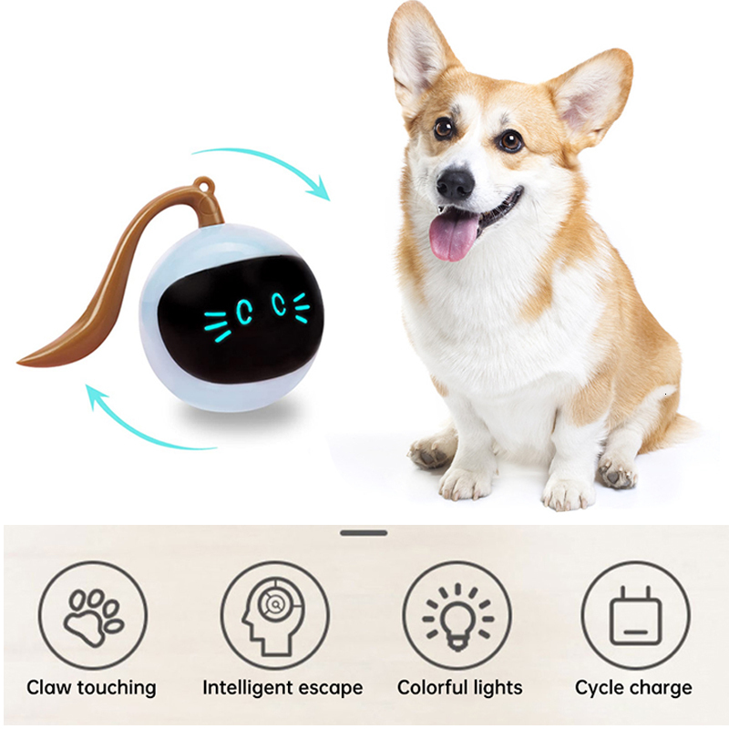 free shipping Dog Toys Chews Auto Interactive Ball Electric USB Rechargeable Self Rotating Indoor Teaser Selfplay Exercise for Puppy Pet 221122
