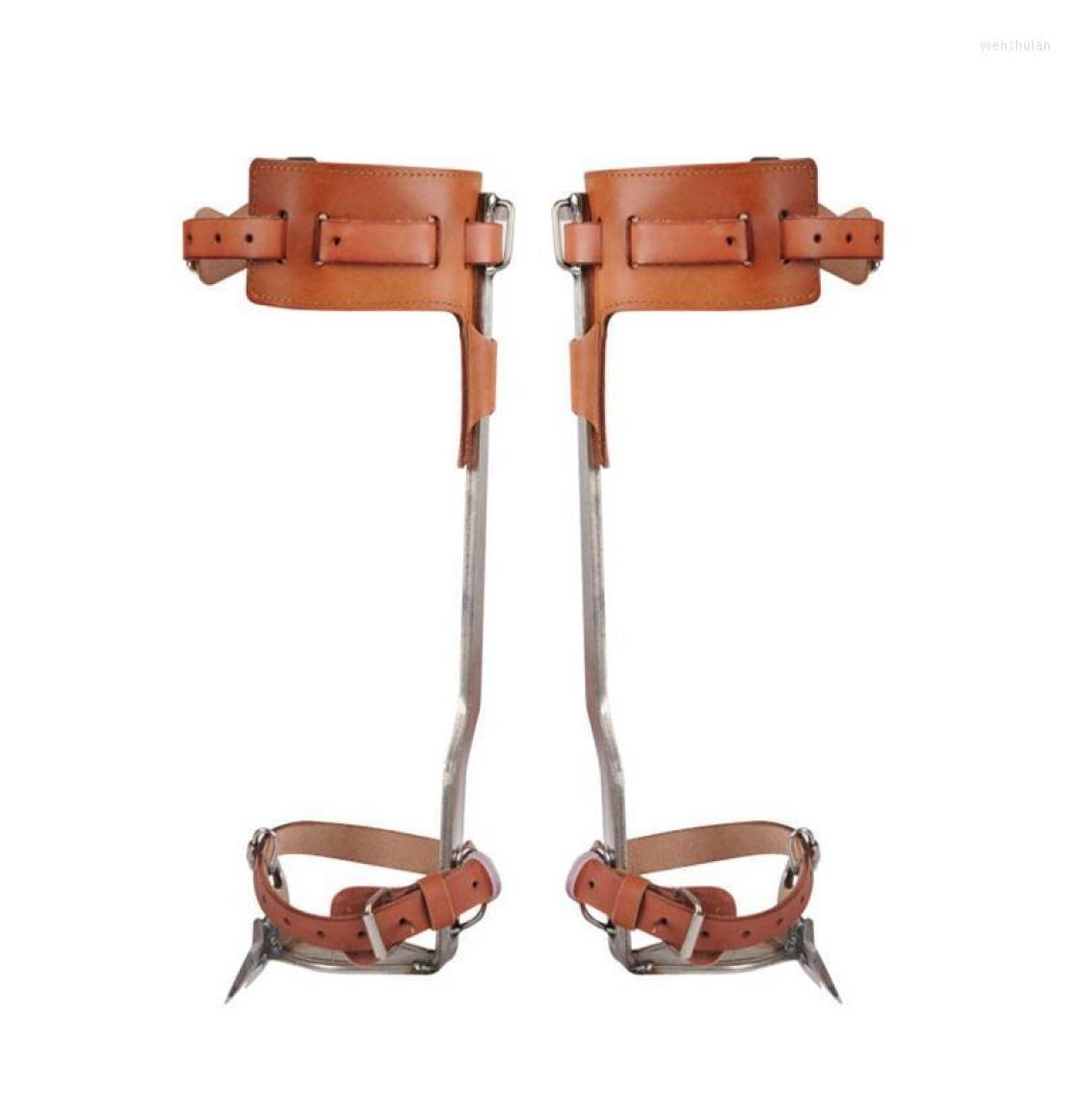 Cords Slings And Webbing Tree Climbing Spikes Tools For Trees NonSlip Equipment Suitable HighAltitude Logging Fruit Picking
Cords Slings And Webbing Tree Climbing Spikes Tools For Trees NonSlip Equipment Suitable HighAltitude Logging Fruit Picking