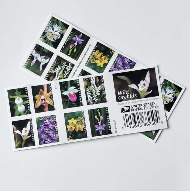 Stamps for Mailing Invitation Envelopes Letters Postcard Office Mailing Supplies Anniversary Birthdays Wedding Celebration Party, Stamps(100pcs)
Stamps for Mailing Invitation Envelopes Letters Postcard Office Mailing Supplies Anniversary Birthdays Wedding Celebration Party, Stamps(100pcs)