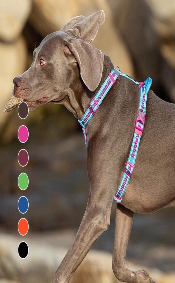 Truelove Soft Padded Dog Harness Easy On And Off Nylon Adjustable Car Pet Harness Belt Reflective For Outdoor Training Walking 201
Truelove Soft Padded Dog Harness Easy On And Off Nylon Adjustable Car Pet Harness Belt Reflective For Outdoor Training Walking 201