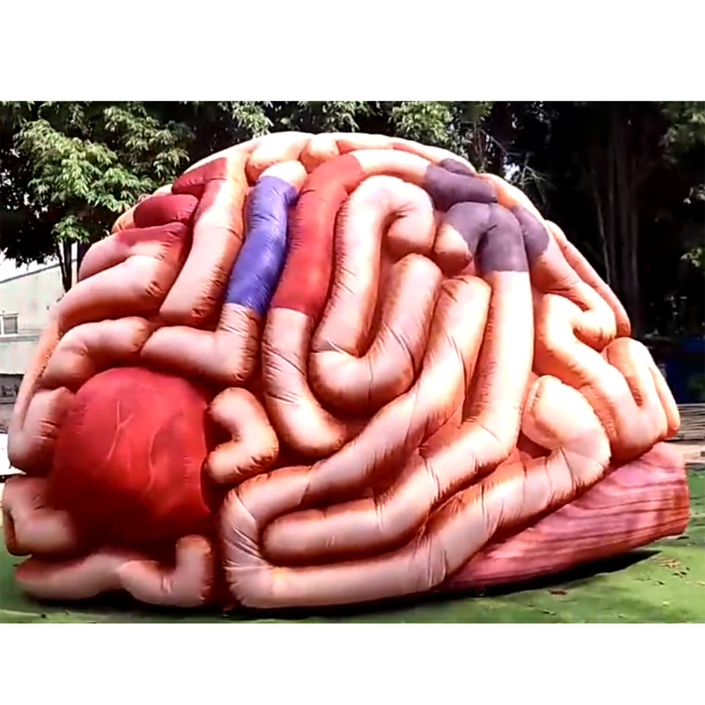 Lifelike 4m giant inflatable brain model colorful promotional fearful cerebrum tunnel tent for medical display