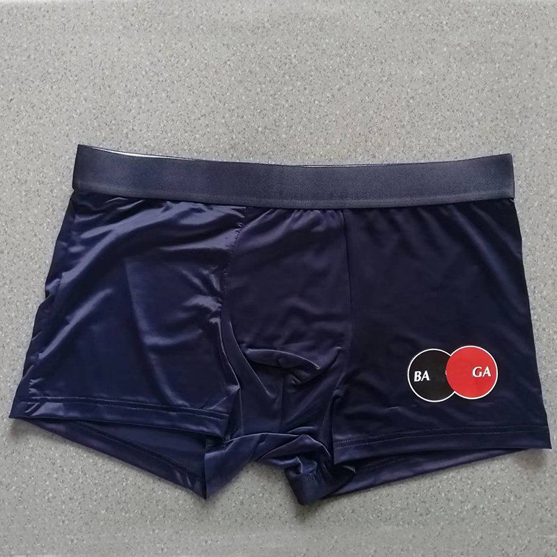 Famous Brands Men Boxer Underpants Spandex Fashion Man Breathable Soft Underwear Luxury Designer Gay Male Comfort Cueca Boxer Ropa Interior Hombre Shorts