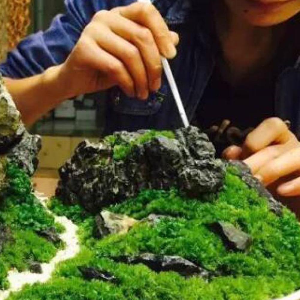 Garden Decorations 4 Styles Natural Moss Accessories Living Moss Live Cushion Reptile Terrarium Bonsai Decor Natural Forest Carpet Garden Decor 221126