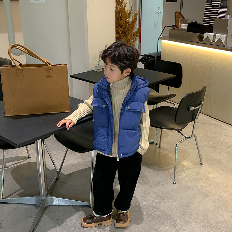 Waistcoat Children's vest winter clothing Korean version boys' thickened hooded cotton 1070 221125, Blue
Waistcoat Children's vest winter clothing Korean version boys' thickened hooded cotton 1070 221125, Blue