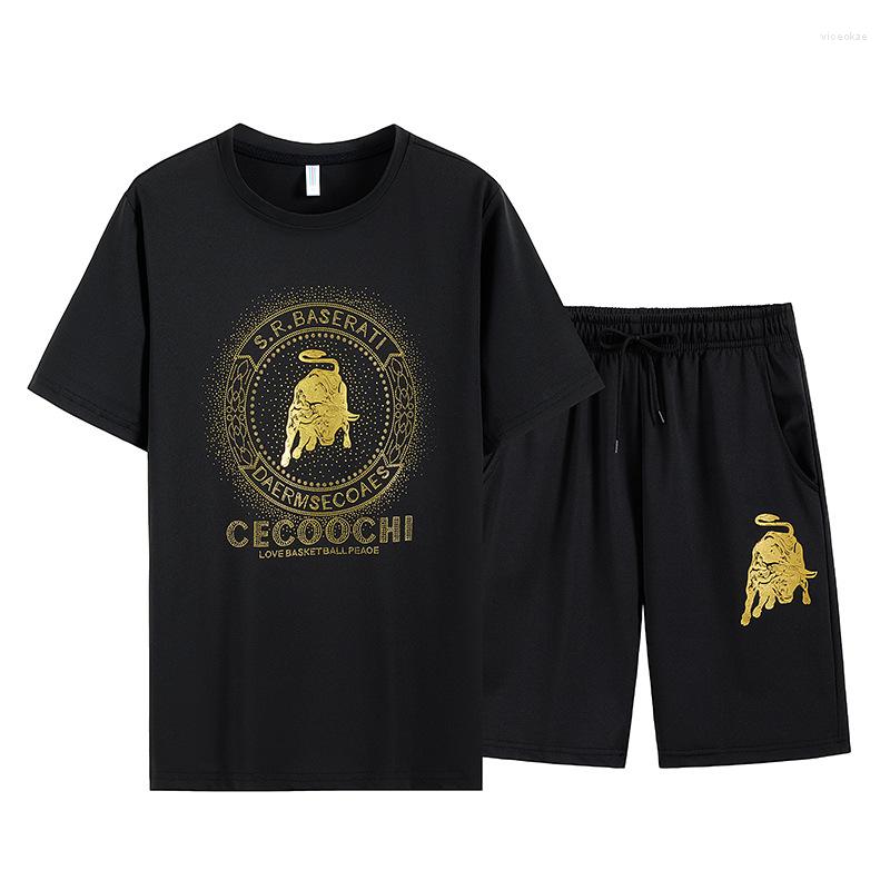 Men's Tracksuits 2022 Brand Mens Jogger Set Sweat Suit Quick Dry Breathable T Shirt Shorts 2 Piece Running Suits Polyester Sportswear Size, Black 2
Men's Tracksuits 2022 Brand Mens Jogger Set Sweat Suit Quick Dry Breathable T Shirt Shorts 2 Piece Running Suits Polyester Sportswear Size, Black 2