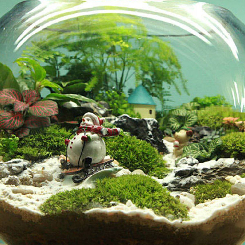 Garden Decorations 4 Styles Natural Moss Accessories Living Moss Live Cushion Reptile Terrarium Bonsai Decor Natural Forest Carpet Garden Decor 221126