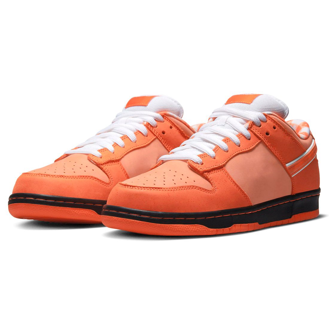 Authentic 2022 Shoes Concepts x SB Dunks Low Orange Lobster FD8776-800 Men Women basketball Sports Sneaker Frost Electro White With Original Box
Authentic 2022 Shoes Concepts x SB Dunks Low Orange Lobster FD8776-800 Men Women basketball Sports Sneaker Frost Electro White With Original Box