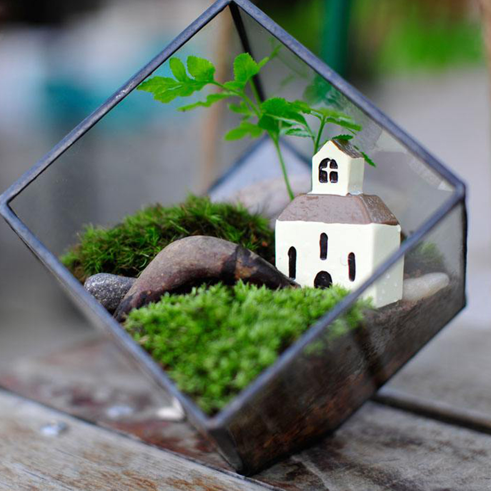 Garden Decorations 4 Styles Natural Moss Accessories Living Moss Live Cushion Reptile Terrarium Bonsai Decor Natural Forest Carpet Garden Decor 221126