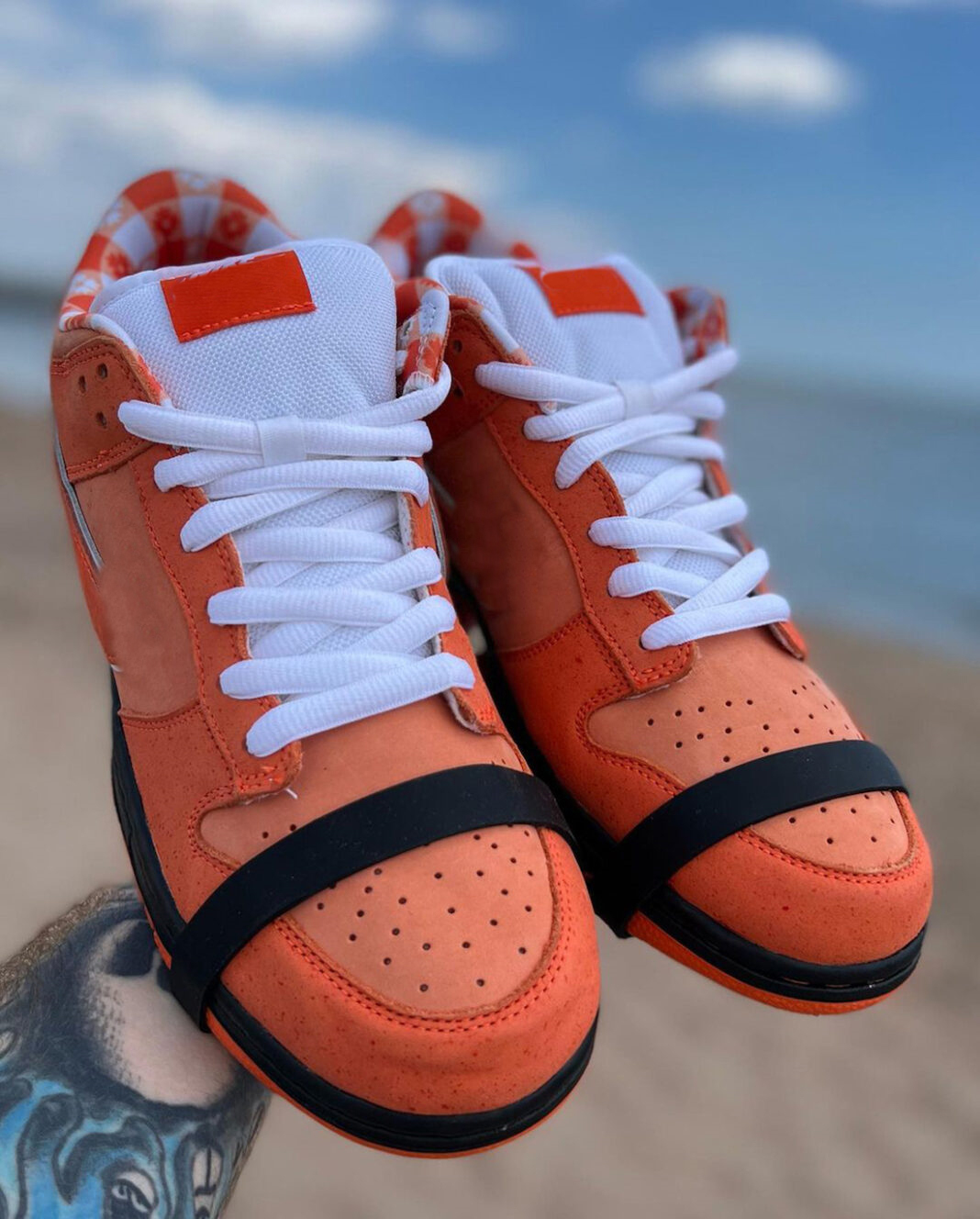 2022 Authentic Shoes Concepts x SB Dunks Low Orange Lobster FD8776-800 Mens Women Basketball Sports Sneaker Frost Electro White With Original Box 36-47.5, Don't order this option
2022 Authentic Shoes Concepts x SB Dunks Low Orange Lobster FD8776-800 Mens Women Basketball Sports Sneaker Frost Electro White With Original Box 36-47.5, Don't order this option