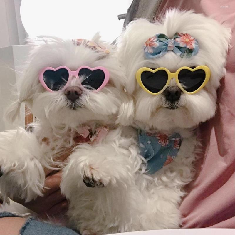 Dog Apparel For Dogs Cats Pet Accessories Glasses Sunglasses Harness Accessory Puppy Products Decorations Lenses Gadgets Goods Animals, Black
Dog Apparel For Dogs Cats Pet Accessories Glasses Sunglasses Harness Accessory Puppy Products Decorations Lenses Gadgets Goods Animals, Black