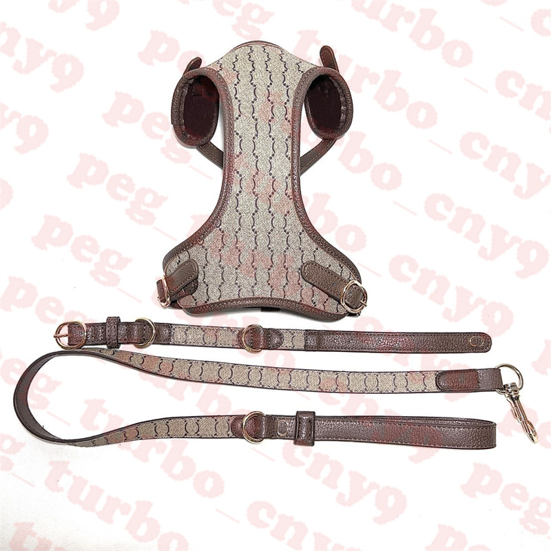 Brown Letter Pets Collars Leashes Set Brand Dogs Harnesses Letter Logo Pet Collar Leash Dog Supplies