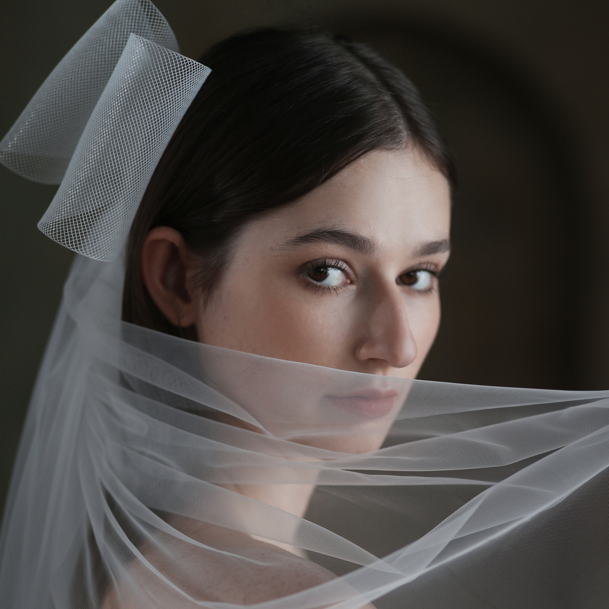 Lovely Wedding Veil with Big Bow Bridal Veils Wedding Accessories
