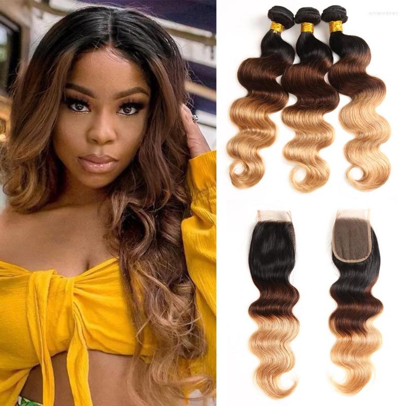 Human Hair Bulks Ombre Brazilian Body Wave Bundles With Closure Remy 3/4 4x4 Lace Blonde Brown Burgundy
Human Hair Bulks Ombre Brazilian Body Wave Bundles With Closure Remy 3/4 4x4 Lace Blonde Brown Burgundy