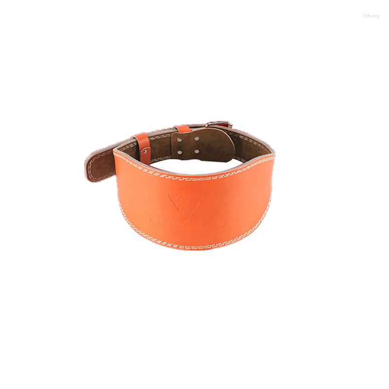 Waist Support Hard Pull Fitness Belt Squat Widening Lengthening And Thickening Professional Real Cowhide Weightlifting Strength Training, Orange
Waist Support Hard Pull Fitness Belt Squat Widening Lengthening And Thickening Professional Real Cowhide Weightlifting Strength Training, Orange