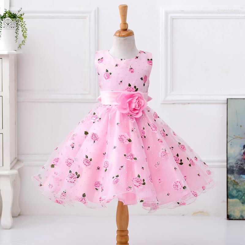 Girl Dresses Two Colors Flowers Children For White Wedding Party Dress 3-10 Years Girls Clothes Birthday Gift Christmas Vestidos, Pink
Girl Dresses Two Colors Flowers Children For White Wedding Party Dress 3-10 Years Girls Clothes Birthday Gift Christmas Vestidos, Pink