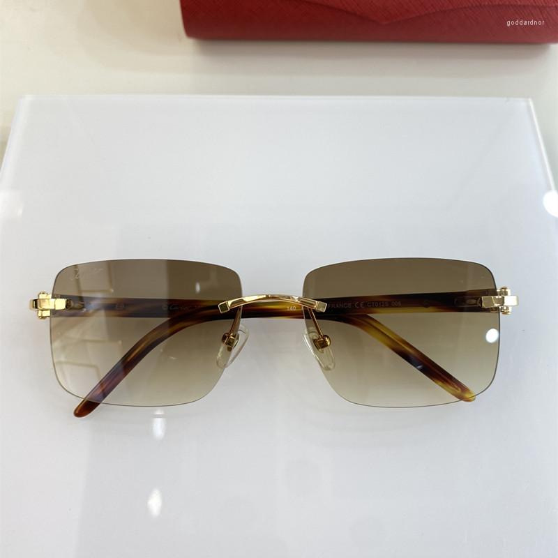 Sunglasses Women Men Rimless CT012S Square Frame Fashion Lenses Brand Design Eyeglasses Sunglass Eyewear
Sunglasses Women Men Rimless CT012S Square Frame Fashion Lenses Brand Design Eyeglasses Sunglass Eyewear