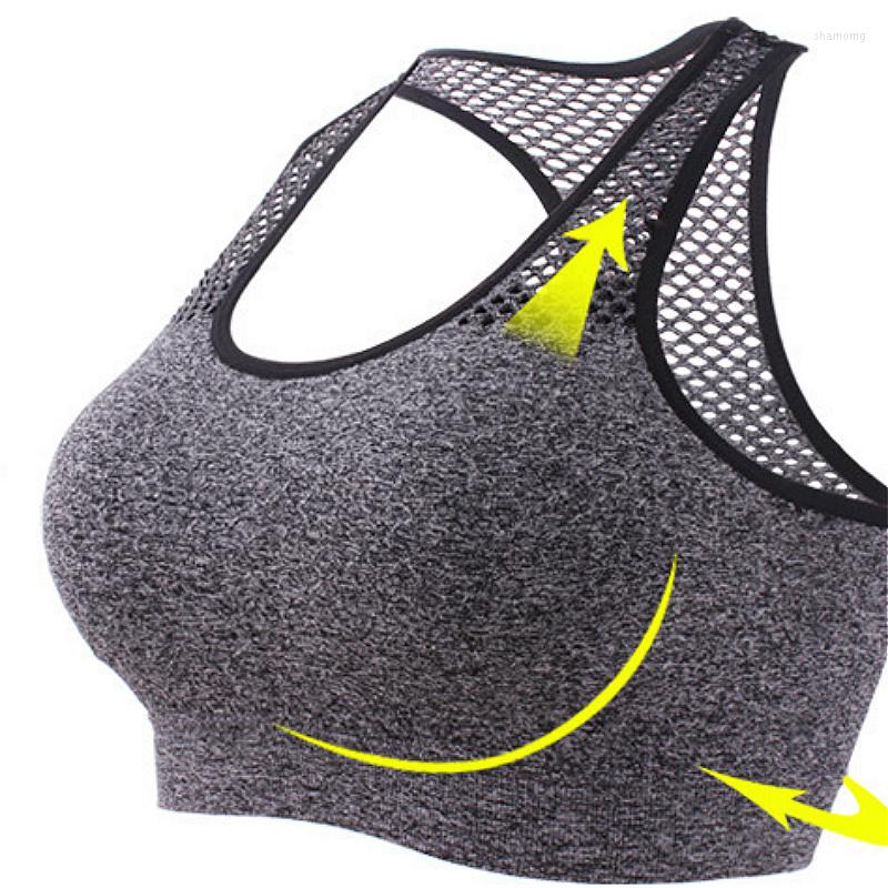 Yoga Outfit Gym Bra Removable Padded Quick Dry Mesh Sports Bras For Women Wireless Push Up Top Shockproof Fitness, Black
Yoga Outfit Gym Bra Removable Padded Quick Dry Mesh Sports Bras For Women Wireless Push Up Top Shockproof Fitness, Black
