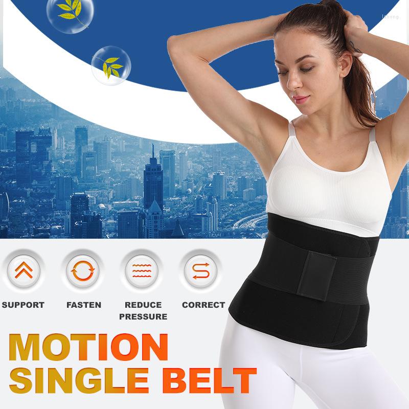 Waist Support Women And Men Belt Back Trainer Trimmer Gym Protector Weight Lifting Sports Body Shaper Corset, Black
Waist Support Women And Men Belt Back Trainer Trimmer Gym Protector Weight Lifting Sports Body Shaper Corset, Black