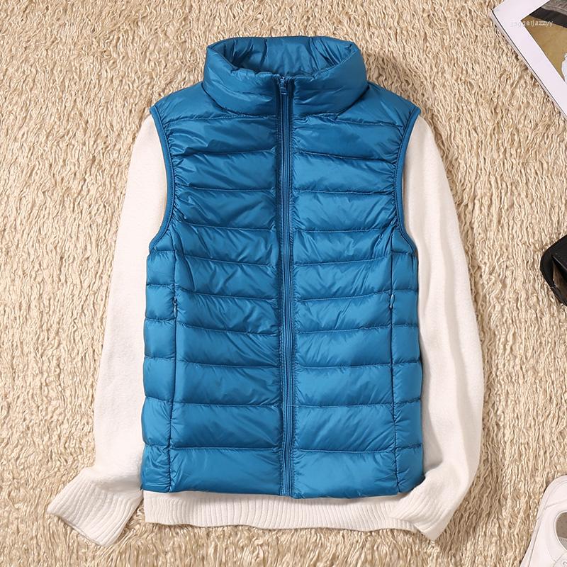 Women's Down Autumn Women's 90% White Duck Vest Ultra Light Solid Color And Winter Stand-up Collar Sleeveless Jacket, Sky blue
Women's Down Autumn Women's 90% White Duck Vest Ultra Light Solid Color And Winter Stand-up Collar Sleeveless Jacket, Sky blue