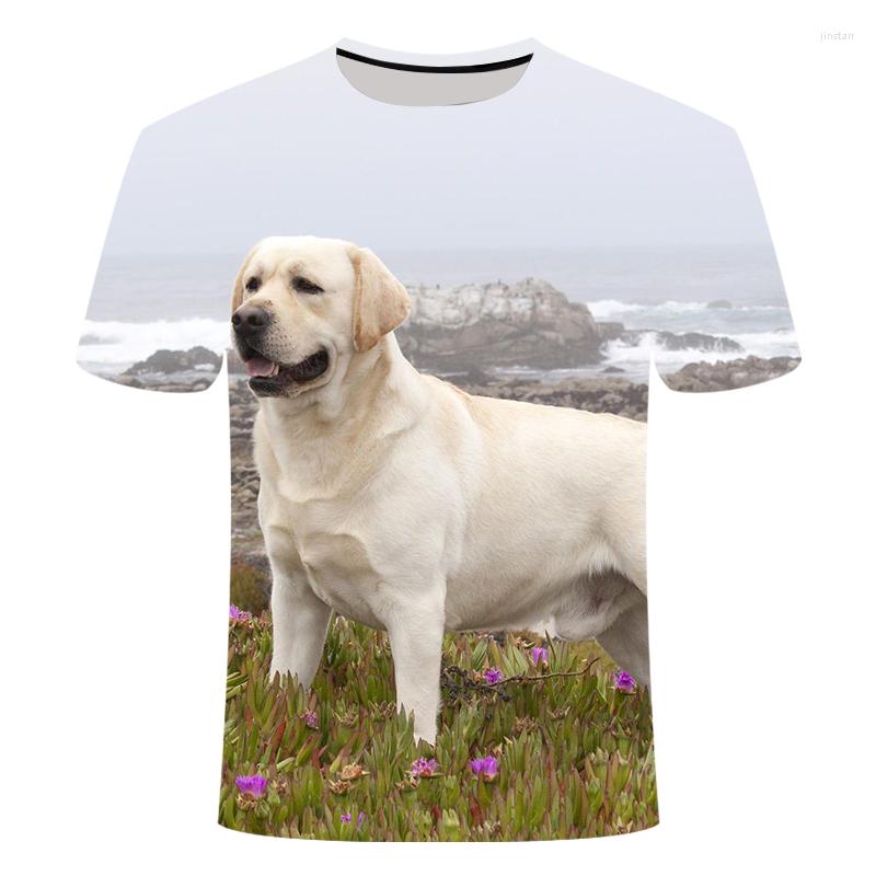 Men's T Shirts Summer 3D Printed Pet Dog T-shirts Labrador Retriever Large Pattern Can Be Customized Child And Adult Plus Size 2XS-5XL
Men's T Shirts Summer 3D Printed Pet Dog T-shirts Labrador Retriever Large Pattern Can Be Customized Child And Adult Plus Size 2XS-5XL
