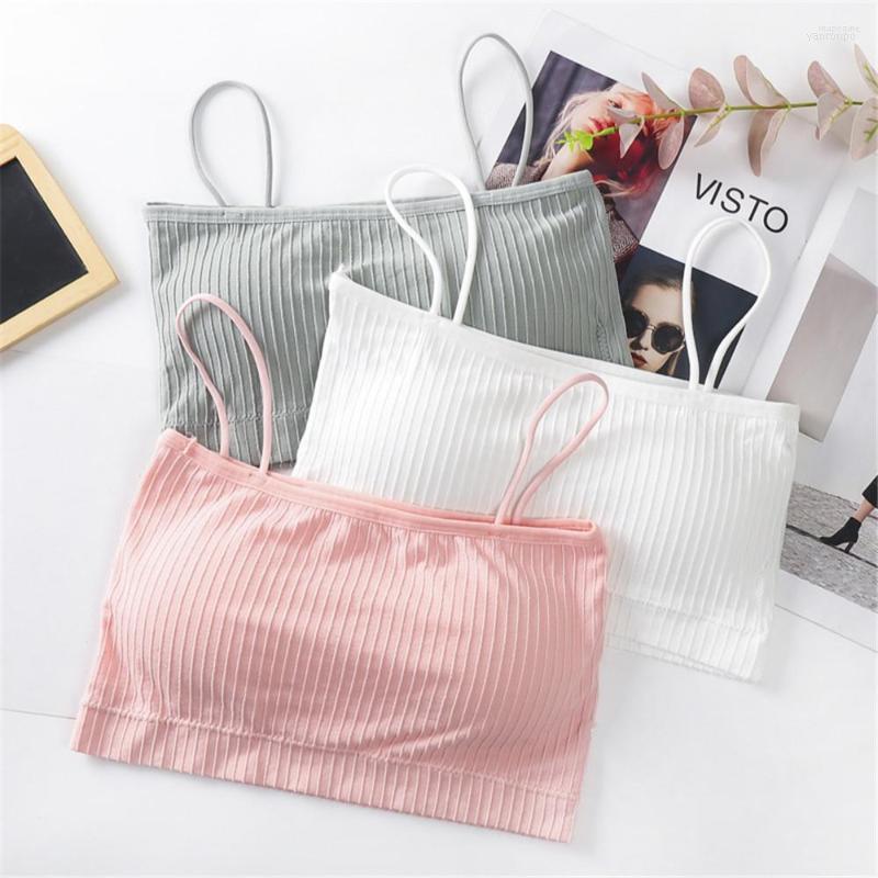 Bustiers & Corsets Women Sexy Crop Tops Bra Tube Top Female Push Up Lingerie Fitness Sports Tank Cami Seamless Solid Underwear With Pad, White3
Bustiers & Corsets Women Sexy Crop Tops Bra Tube Top Female Push Up Lingerie Fitness Sports Tank Cami Seamless Solid Underwear With Pad, White3