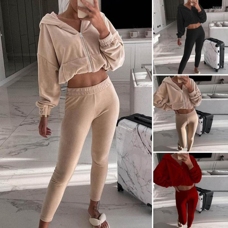 Women' Two Piece Pants Women' 2 Pcs/Set Women Autumn Tracksuit Hat Zipper Placket Long Sleeves Hooded Solid Color Cardigan Elastic, Black
Women' Two Piece Pants Women' 2 Pcs/Set Women Autumn Tracksuit Hat Zipper Placket Long Sleeves Hooded Solid Color Cardigan Elastic, Black