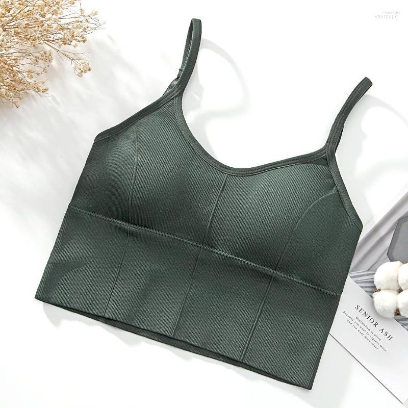 Bustiers & Corsets U-shaped Back Bra Tube Top Women Crop Daisy Pattern Sexy Lingerie Bras Sports Fashion Street Diamond Tank, White
Bustiers & Corsets U-shaped Back Bra Tube Top Women Crop Daisy Pattern Sexy Lingerie Bras Sports Fashion Street Diamond Tank, White