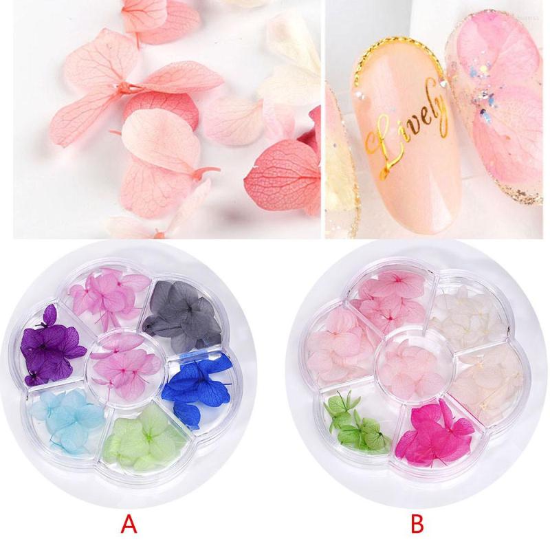 Nail Art Decorations 1 Box 35pieces Natural Small Leaf Hydrangea Dried Flowers Stickers Pressed Glass Globe Fillers Accessory HJJK
Nail Art Decorations 1 Box 35pieces Natural Small Leaf Hydrangea Dried Flowers Stickers Pressed Glass Globe Fillers Accessory HJJK