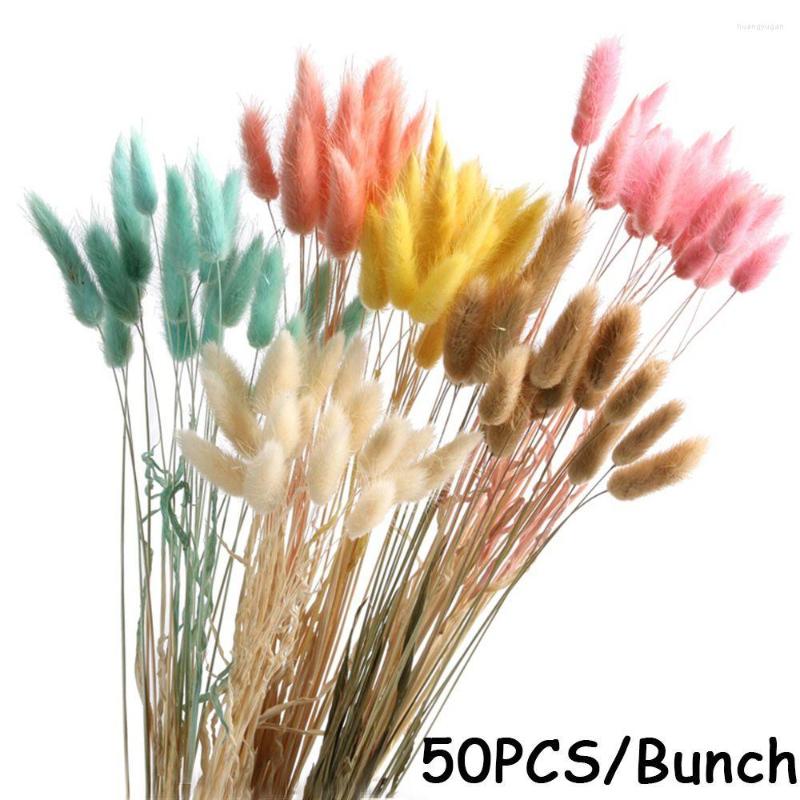 Decorative Flowers Natural Tail Grass 50pcs/lot Dry Flower Really Bouquet Pastoral Style Shooting Props Wholesale, Red
Decorative Flowers Natural Tail Grass 50pcs/lot Dry Flower Really Bouquet Pastoral Style Shooting Props Wholesale, Red