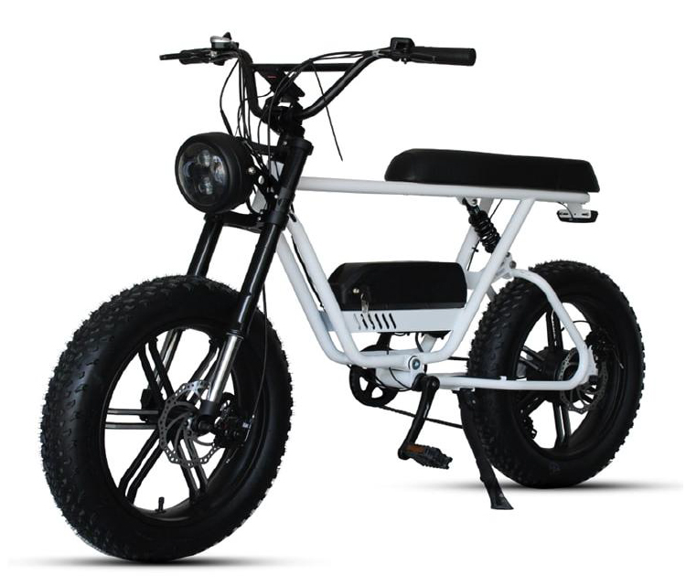 26 Inch Electric Moped Bike Adults Motorcycly Retro Fat Tire City road E-bike, Black
26 Inch Electric Moped Bike Adults Motorcycly Retro Fat Tire City road E-bike, Black