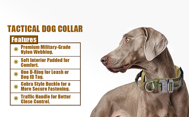 Update Adjustable Military Tactical Dog Collar With Control Handle - Durable Nylon Medium Large Dogs German Shepherds Ideal For Walking And Training