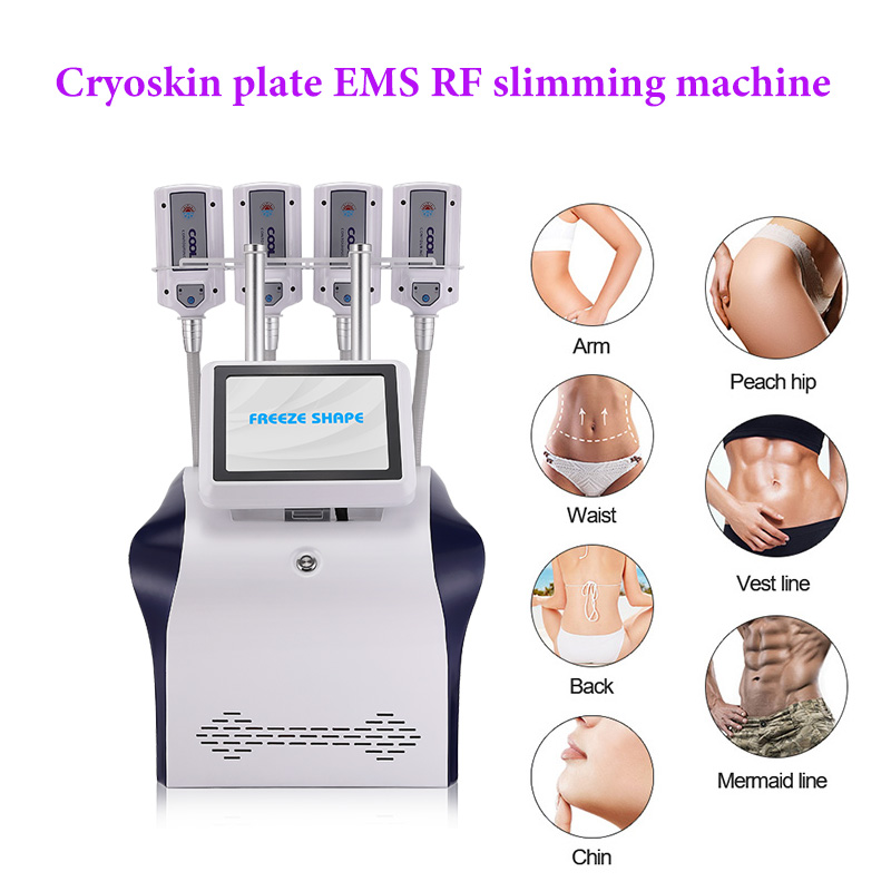 Cryo Therapy Body Slimming Body Shaping 4 Handles Free Shape RF EMS Cryolipolysis Plate Machine 
Cryo Therapy Body Slimming Body Shaping 4 Handles Free Shape RF EMS Cryolipolysis Plate Machine