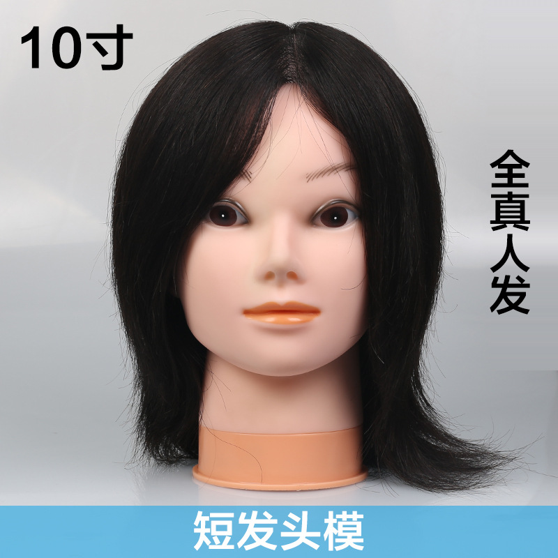 Dummy Head Mould Short Hair Doll Hairstyle All Real Hair Teaching Head Model Hair Dummy Head Able to Be Permed and Dyed Full Human
Dummy Head Mould Short Hair Doll Hairstyle All Real Hair Teaching Head Model Hair Dummy Head Able to Be Permed and Dyed Full Human