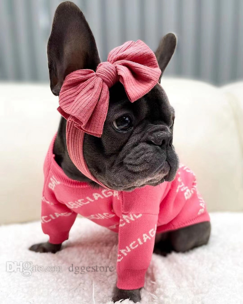free shipping Designer Clothes Dog Apparel Warm Pet Sweater ic Letter Cat Sweaters Puppy Sweatshirt Winter Coat for Small Dogs Kitten Cats Red S A353