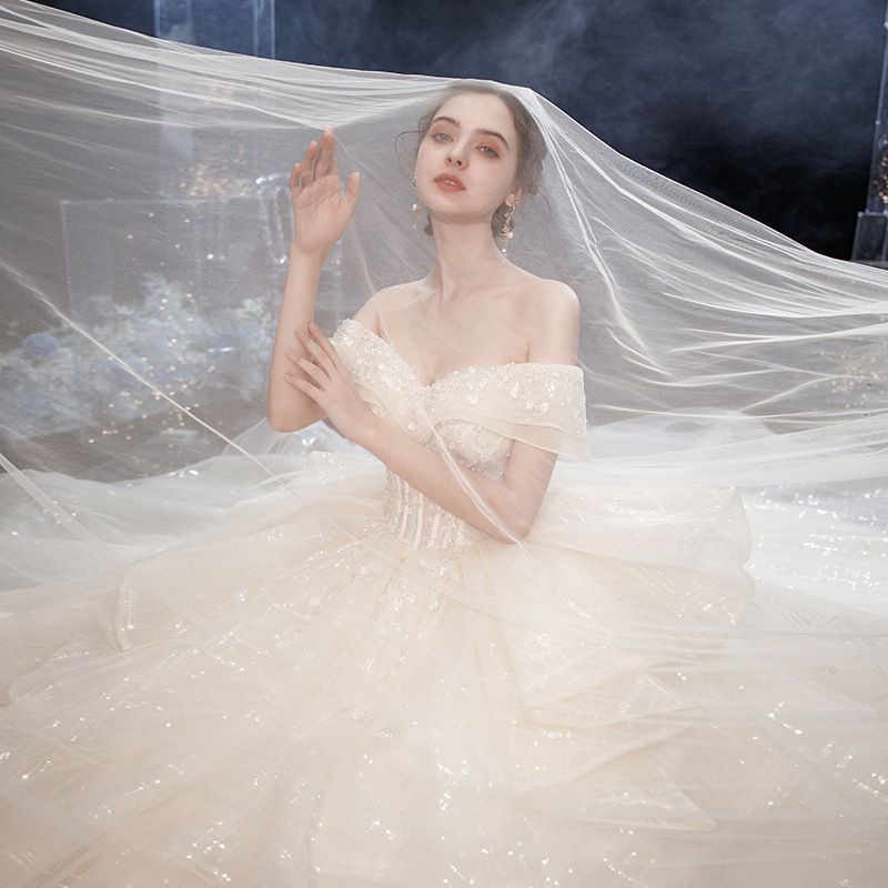 2025 Ball Gown Wedding Dresses Modest Sheer Bateau Sequined Appliques Back Lace Up Country Style Chic Bridal Gowns Custom Made Plus Size 0220