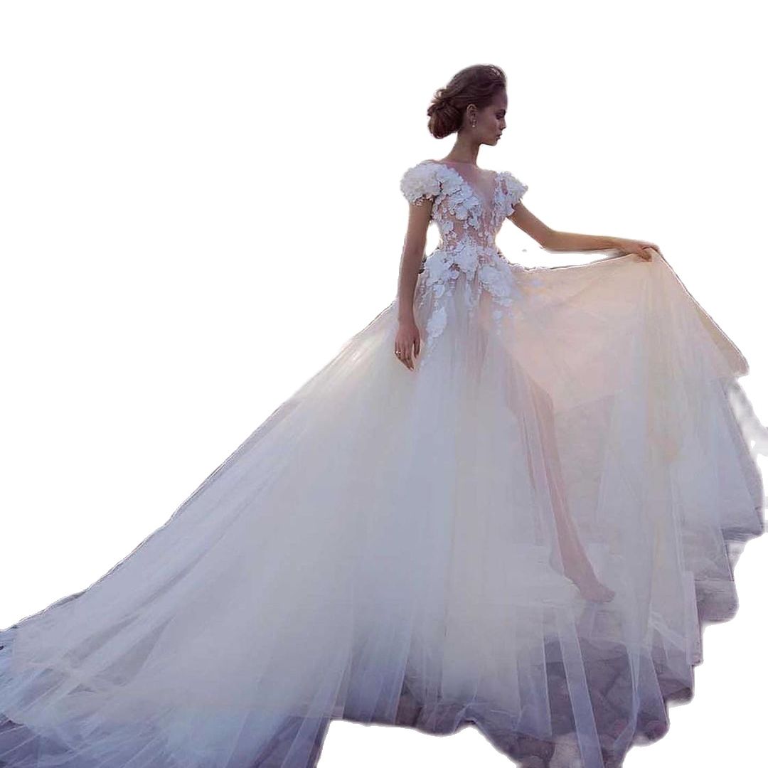 Sexy A Line Wedding Dresses Transparent Short Sleeve Bridal Gown Backless 3D Flowers Appliques Tulle Floor Length Robe De Soiree
