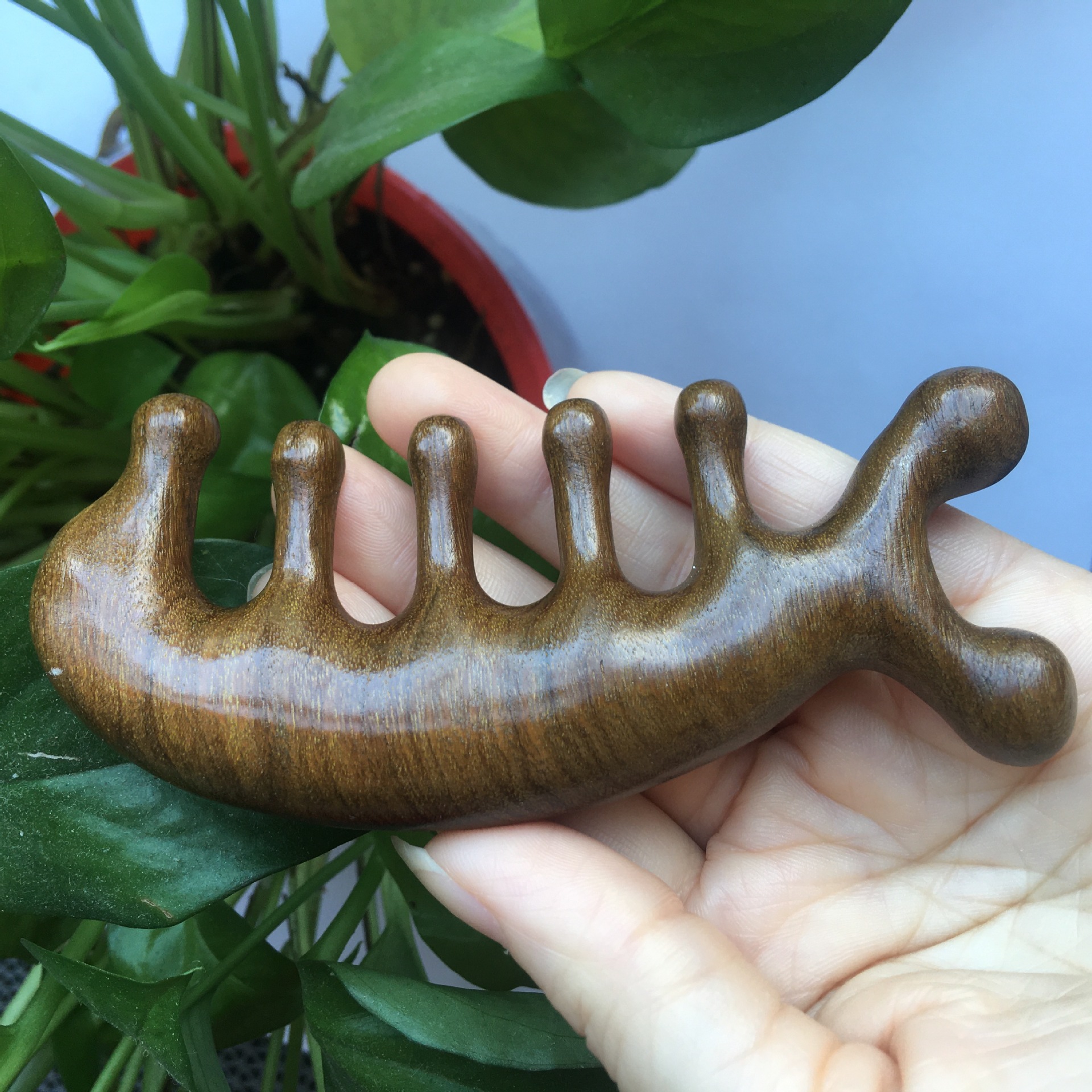 Makeup Tools Body Meridian Massage Comb Sandalwood Five Wide Tooth Comb Acupuncture Therapy Blood Circulation Anti-static Smooth Hair