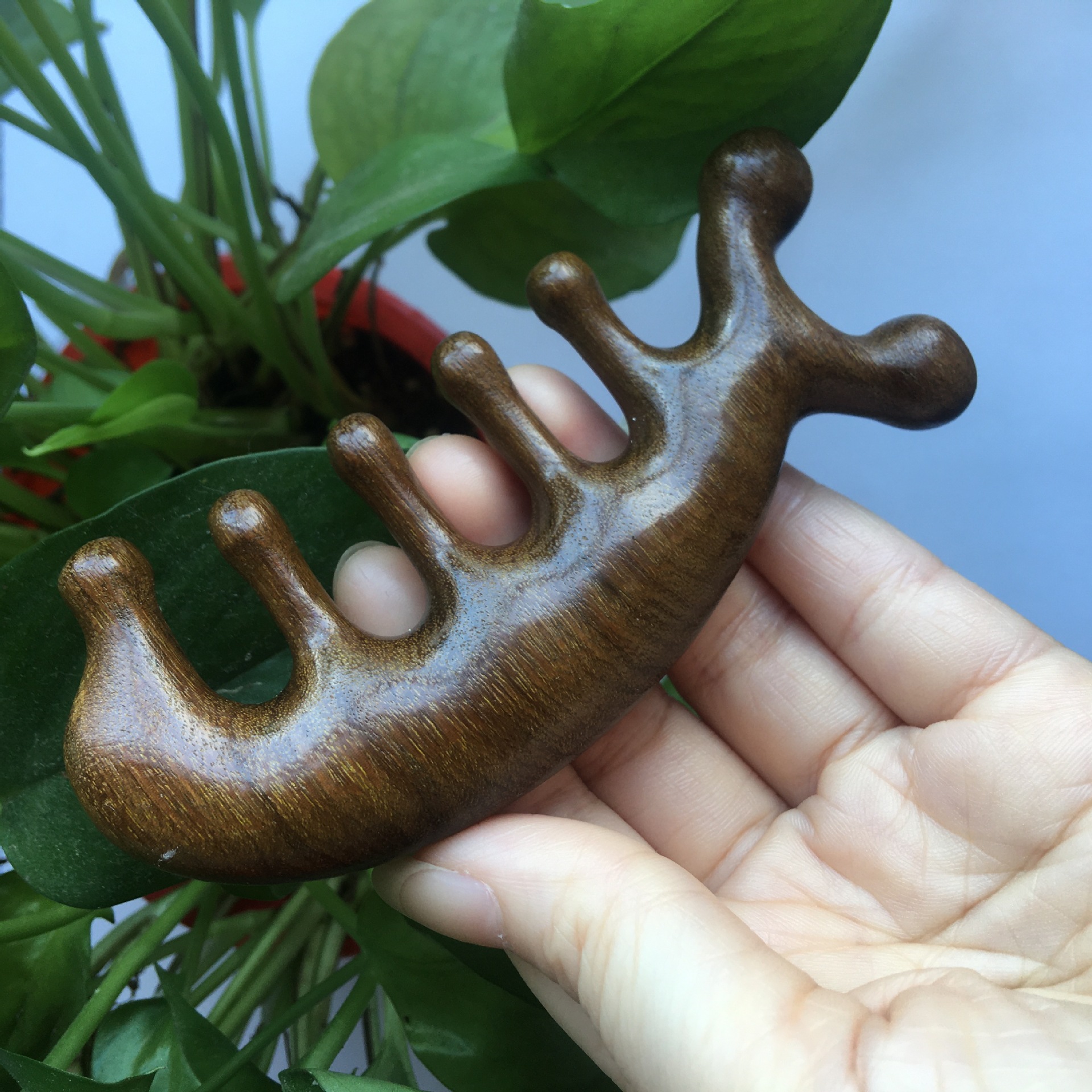 Makeup Tools Body Meridian Massage Comb Sandalwood Five Wide Tooth Comb Acupuncture Therapy Blood Circulation Anti-static Smooth Hair