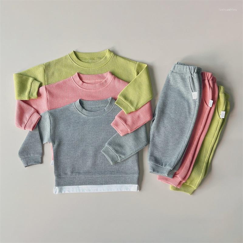 Clothing Sets Autumn Kids Tracksuit 2Pcs Cotton Korea Boys Girls Clothings Spring Loose Toddler Tops Pants Clothes Outfits, Green
Clothing Sets Autumn Kids Tracksuit 2Pcs Cotton Korea Boys Girls Clothings Spring Loose Toddler Tops Pants Clothes Outfits, Green