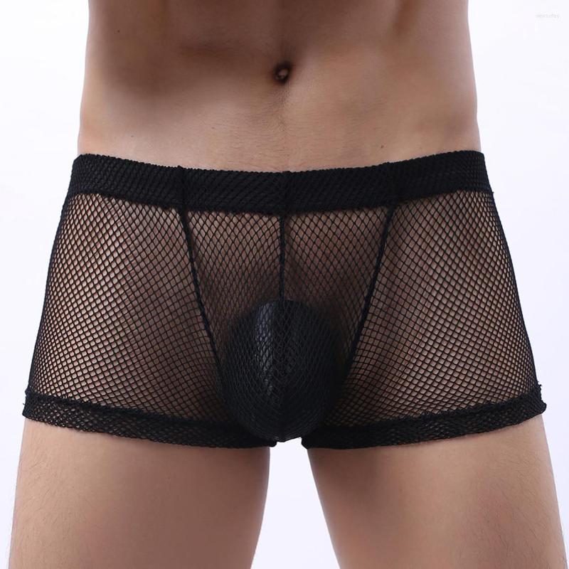 Underpants Transaprant Mens Boxer Shorts Low Waist Fine Mesh Sexy Men Underwear, Black