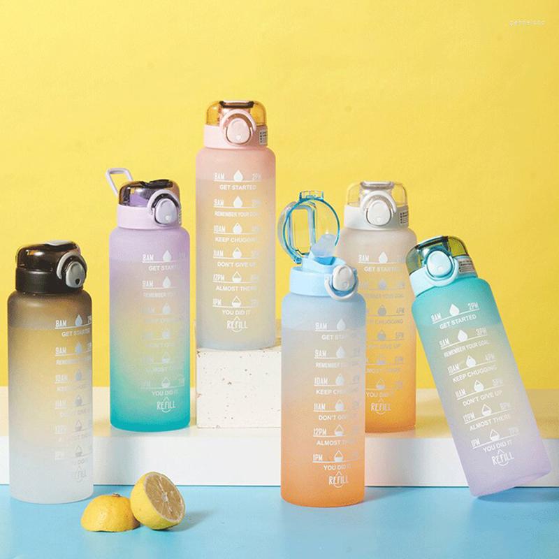 Water Bottles 1 Liter Bottle With Time Scale Fitness Outdoor Sports Straw Frosted Leakproof Motivational Sport Cups, Blue
Water Bottles 1 Liter Bottle With Time Scale Fitness Outdoor Sports Straw Frosted Leakproof Motivational Sport Cups, Blue