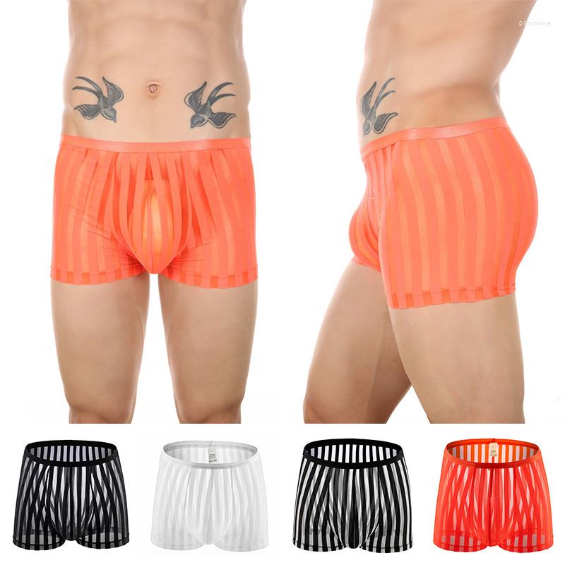 Underpants Men's Sexy Striped Sheer Boxers Breathable Mesh Panties Shorts Brief Underwear Thong See-through Stretch, Stripe
Underpants Men's Sexy Striped Sheer Boxers Breathable Mesh Panties Shorts Brief Underwear Thong See-through Stretch, Stripe