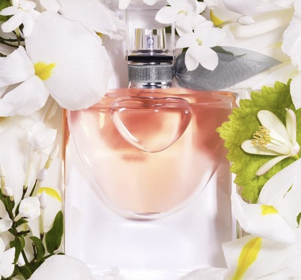 2025 Newest for Men Wilderness Perfume 60ml with Long Lasting Time Good Quality High Fragrance Capacity Scent Cologne Fast Delivery