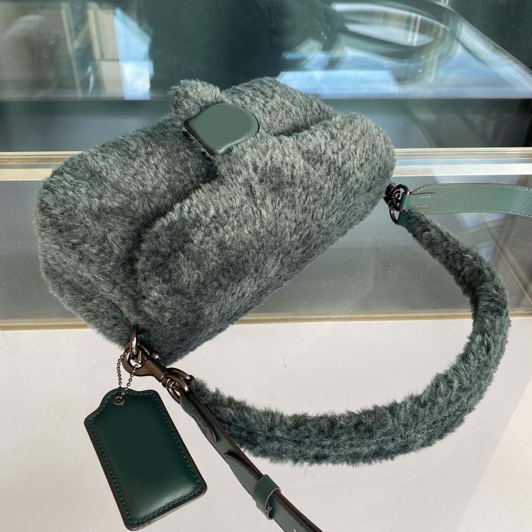Luxury Designer Winter Wool Pillow Tabby Shoulder Bags Soft Leather Lining Crossbody Bag Classic Gold Hardware Label Handbags Two Removable Fur Straps Purse
Luxury Designer Winter Wool Pillow Tabby Shoulder Bags Soft Leather Lining Crossbody Bag Classic Gold Hardware Label Handbags Two Removable Fur Straps Purse