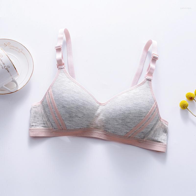 Bustiers & Corsets Sport Bra For Women Wireless Push Up Underwear Soft Cotton Comfortable Bralette Cute Girls LingerieBustiers, Blue bra
Bustiers & Corsets Sport Bra For Women Wireless Push Up Underwear Soft Cotton Comfortable Bralette Cute Girls LingerieBustiers, Blue bra