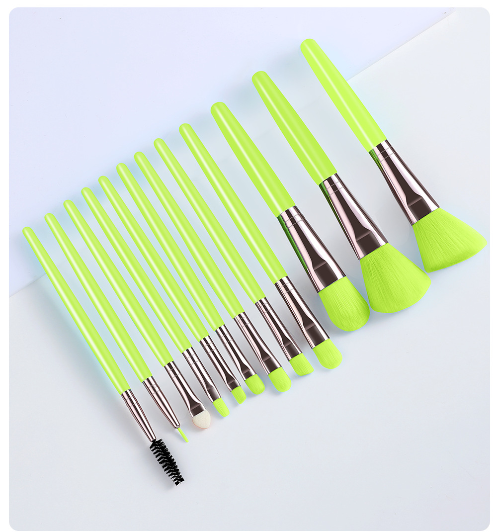 Makeup Brushes Set 12PCS Eyeliner Eyelash Solid Eye Shadow Cosmetic Blending Beauty Make Up Brush Set Tool Kit