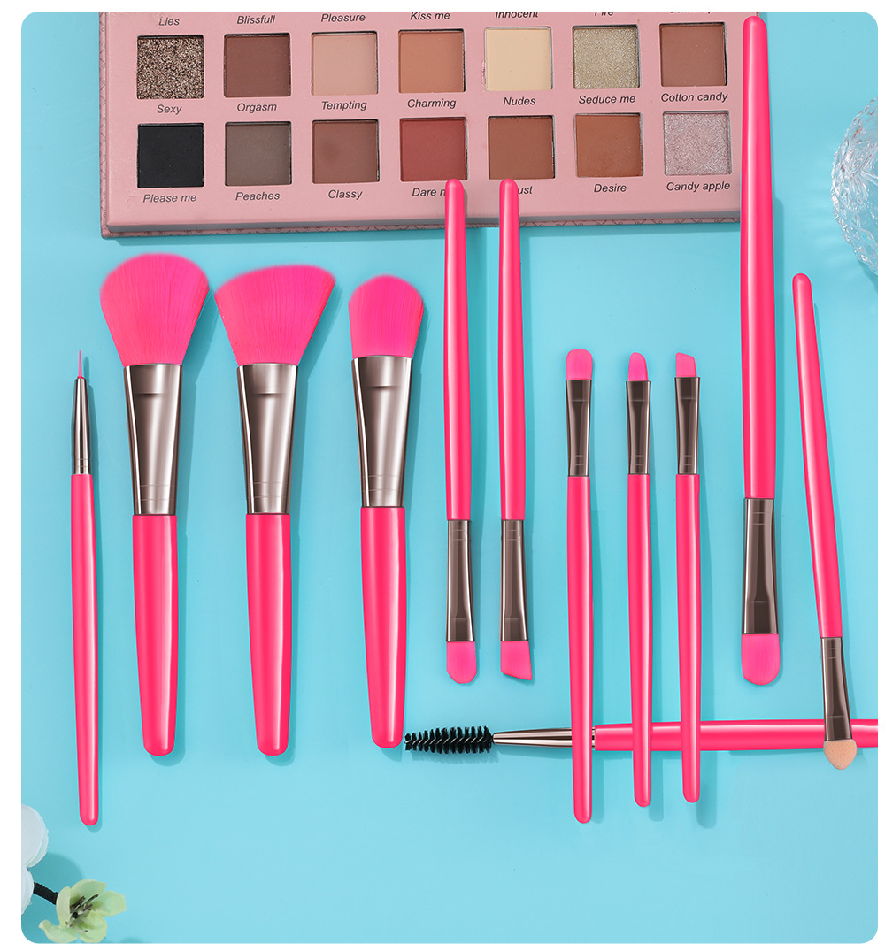 Makeup Brushes Set 12PCS Eyeliner Eyelash Solid Eye Shadow Cosmetic Blending Beauty Make Up Brush Set Tool Kit