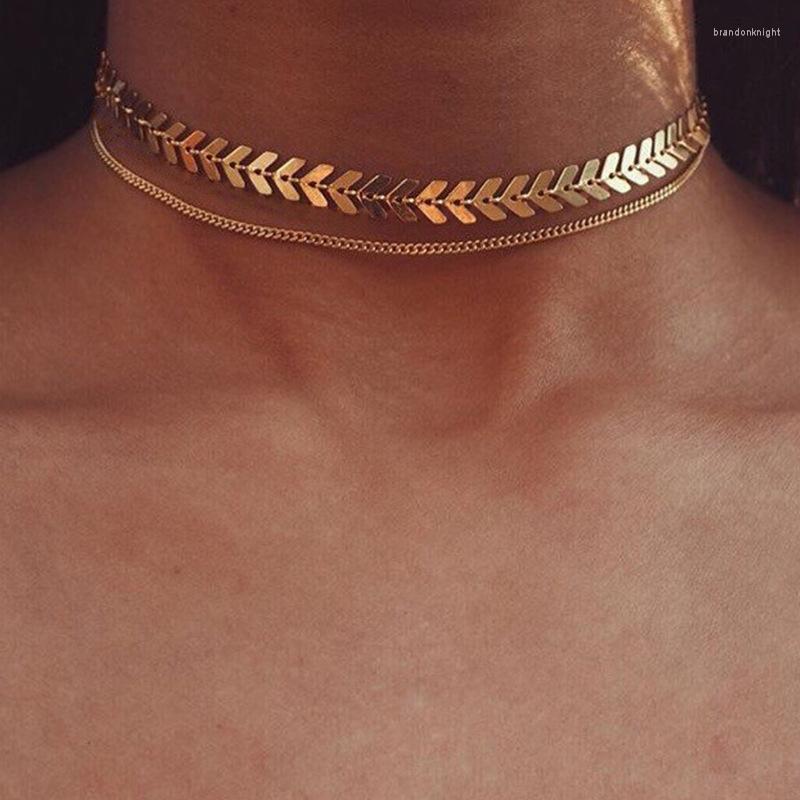 Choker European And American Cross-border Women's Jewelry Fashion Simple Fishbone Clavicle Chain Wild Sequin Short Necklace
Choker European And American Cross-border Women's Jewelry Fashion Simple Fishbone Clavicle Chain Wild Sequin Short Necklace